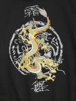 Chinese Dragon Print Oriental Streetwear Hoodie
