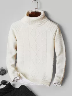 Solid Turtleneck Cable Knit Sweater